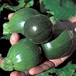Unbranded Courgette Eight Ball Seeds