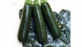 Unbranded Courgette Seeds- Tosca F1