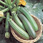Unbranded Courgette Zucchini F1 Seeds - Triplepack
