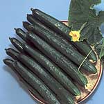 Unbranded Cucumber Natsuhikari F1 Seeds