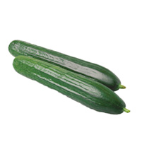 Unbranded Cucumber Seeds - Carmen F1