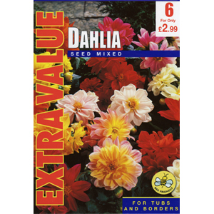 Unbranded Dahlias Mixed Seed Tubers - Extra Value (6)