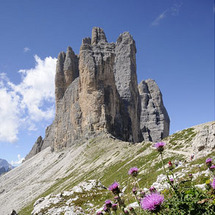 Unbranded Dolomites and Cortina Day Tour - Adult