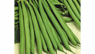 Unbranded Dwarf French Bean Stanley Seeds