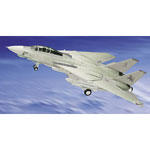 Unbranded F-14D Tomcat US Navy `Blacklions`