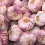 Unbranded Garlic Purple Wight