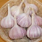 Unbranded Garlic Vayo