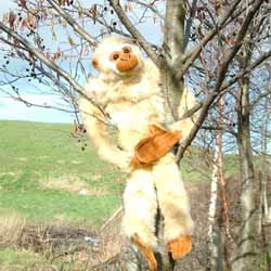 Unbranded Hanging Gibbon