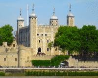 Unbranded HM Tower of London Winter Special Adult Ticket