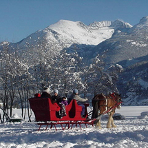 Horse Drawn Sleigh Ride in Whistler - Adult