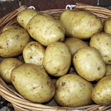 Unbranded Markies Potatoes (3kg) 3kg