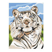 Unbranded Medium Paint By Numbers 3pk (Dragon, Chimp, Tiger)
