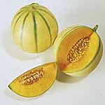 Unbranded Melon Lunabel F1 Seeds 437406.htm