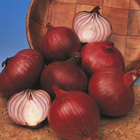 Unbranded Onion (Bulb) Red Baron Seeds Average Seeds 330