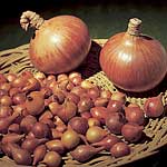 Unbranded Onion Sets Sturon (400g)
