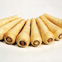 Unbranded Parsnip Seeds - Countess F1