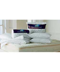 Unbranded Pillow Perfect Pair of Pillows