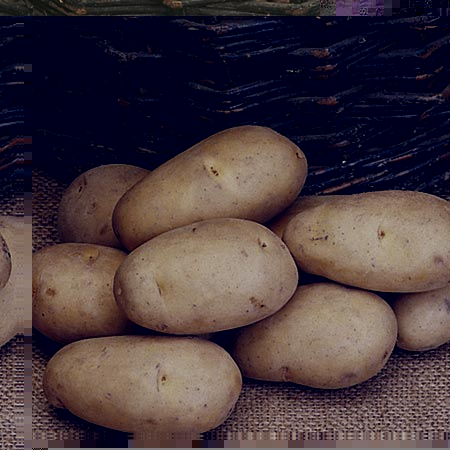 Unbranded Potato Maris Piper (3 kg) 3 kg