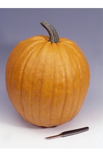 Unbranded Pumpkin Ghostrider Jack O Lantern x 10 seeds