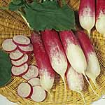 Unbranded Radish French Breakfast 3 Seeds 438363.htm