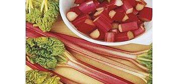 Unbranded Rhubarb Crowns - Timperley Early