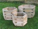 Unbranded Set of three Hexagonal Planters: As Seen