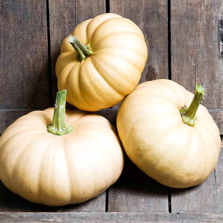 Unbranded Squash Autumn Crown F1 Seeds 10 Seeds