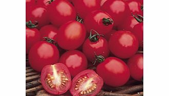 Unbranded Tomato Seeds - Apero F1