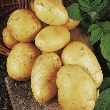 Valor Potatoes (3kg) 3kg