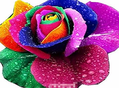 WANGSAURA Etsynet 100 Rare Rainbow Rose Flower Seeds Your Lover Multi-color Plants Home Garden