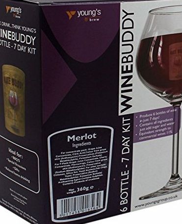 Wine Buddy/Youngs 6 Bottle Merlot