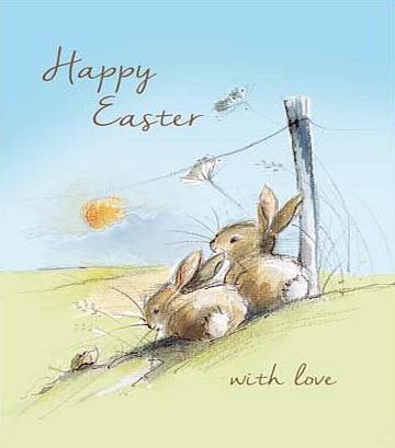 Woodmansterne Easter Cards (WDM3885) - Pack Of 5 - Bushy-tailed - Cute Bunnies - Flittered Finish