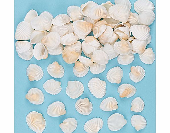Yellow Moon Craft Shells - Pack of 200