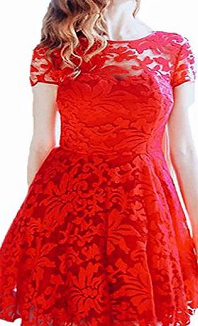 ZANZEA Womens Sexy Casual Summer Lace Round Neck Short Sleeve Princess Dress Party Ball Gown Red US 10
